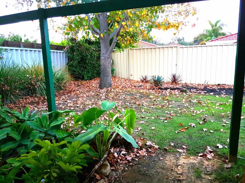 11 Tolbury Retreat, Kiara WA 6054