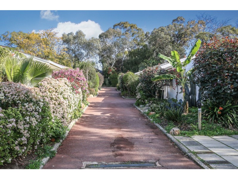 7/13 Second Avenue, Mount Lawley WA 6050