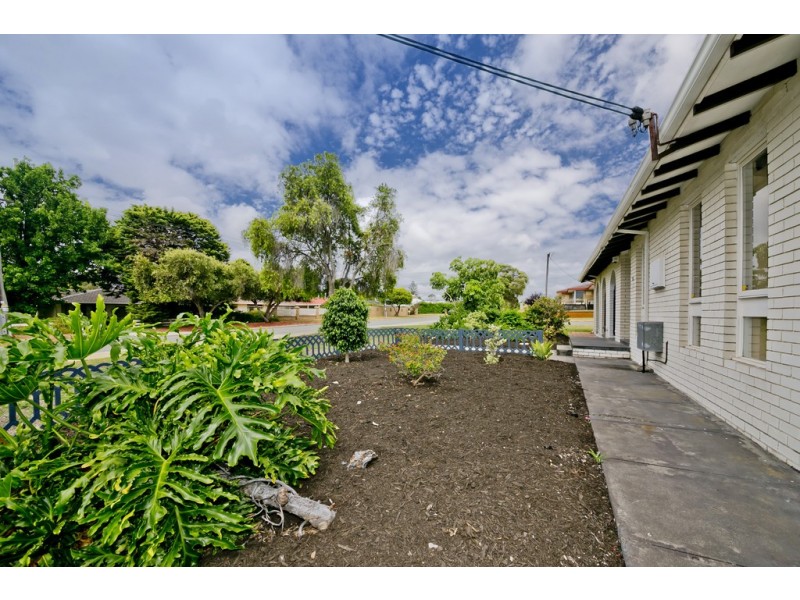 51 Booker Street, Dianella WA 6059