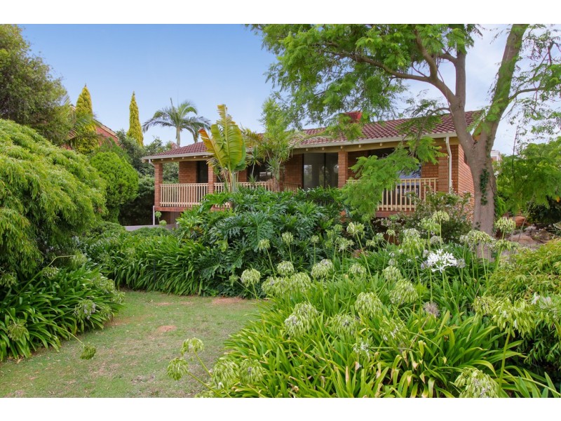 37 Bangalay Way, Dianella WA 6059