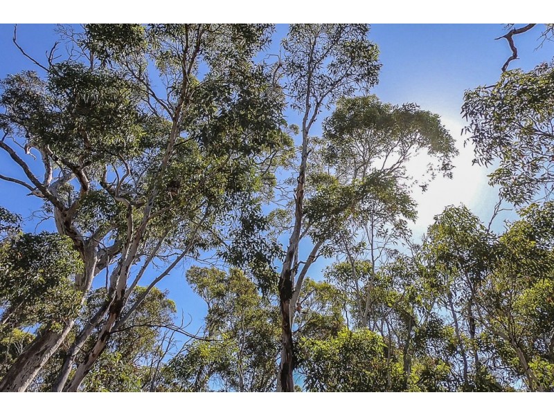 14 The Oaks, Brigadoon WA 6069