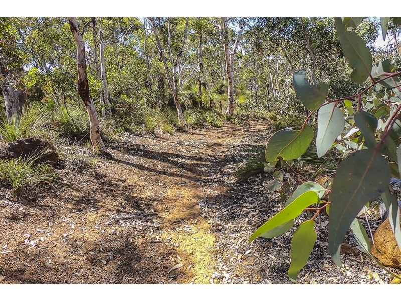 14 The Oaks, Brigadoon WA 6069