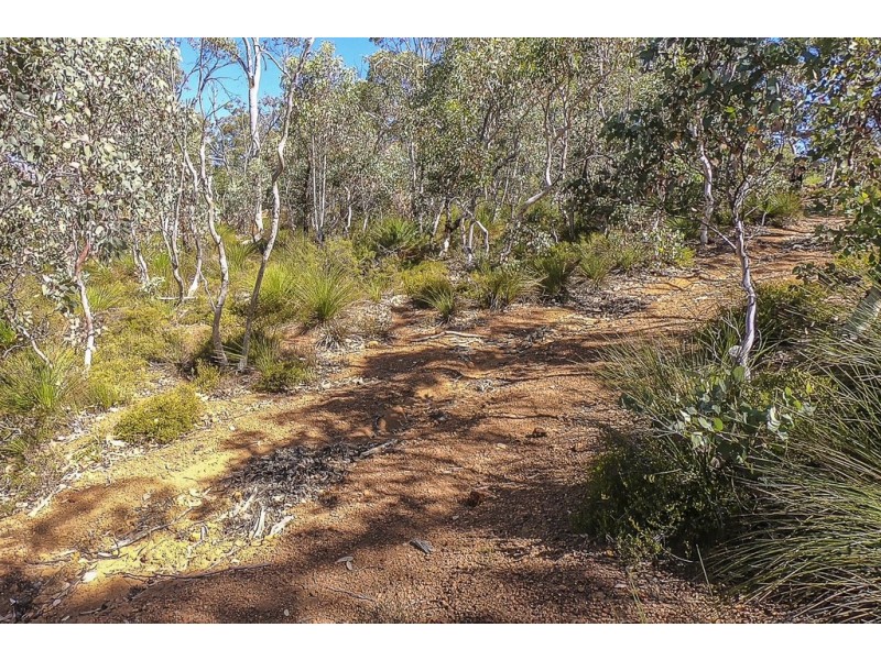 14 The Oaks, Brigadoon WA 6069