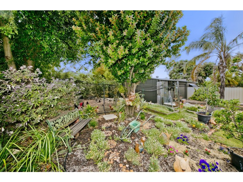 99 Howes Crescent, Dianella WA 6059