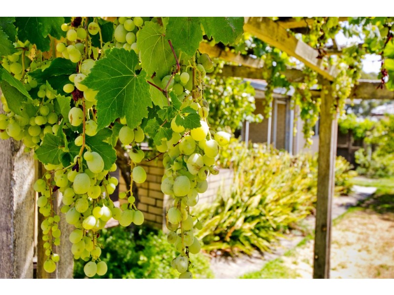 48 Oliver Street, Dianella WA 6059