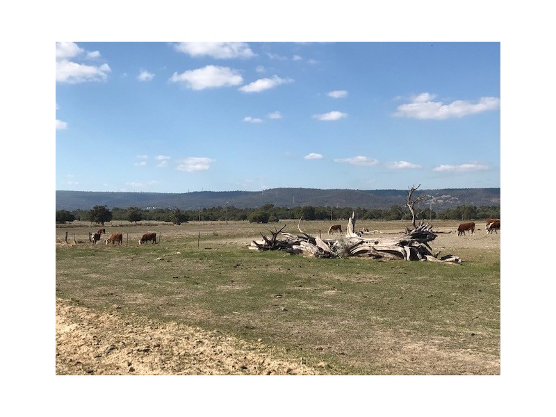 4 Lot 152 Margaret Street (Follow signs off ‘Acott Road’, Gosnells WA 6110