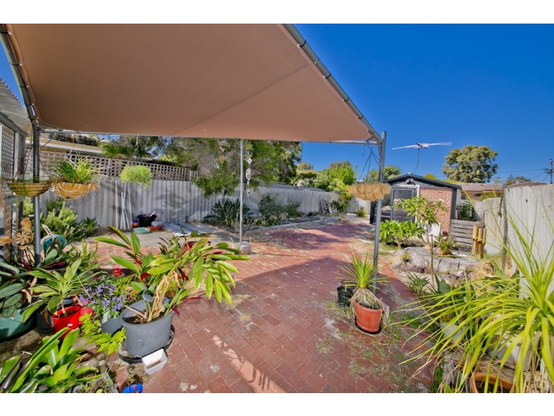 16 Collingwood Street, Dianella WA 6059