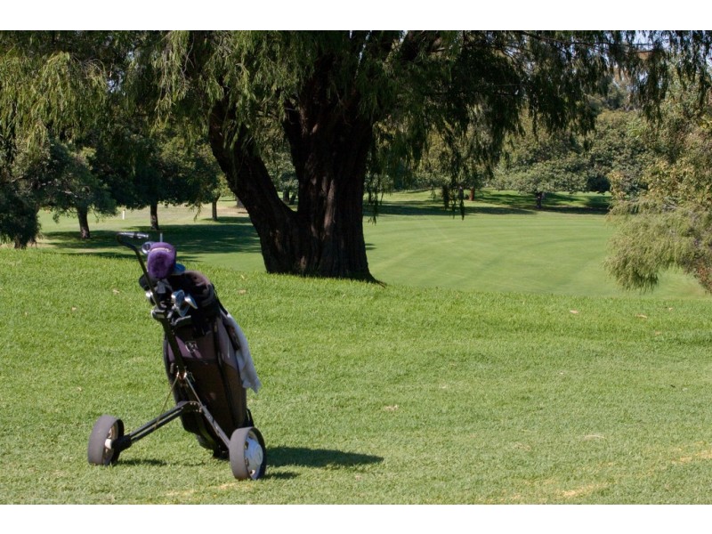 1/9 Valentine Ave, Dianella WA 6059