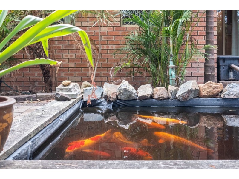 58 Wattle Drive, Beechboro WA 6063