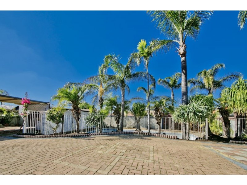 368 Alexander Drive, Dianella WA 6059