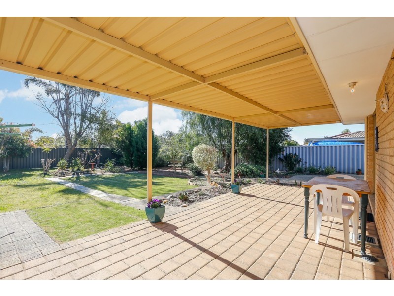 13 Salmon Gum Grove, Beechboro WA 6063