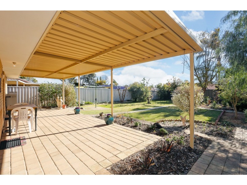 13 Salmon Gum Grove, Beechboro WA 6063