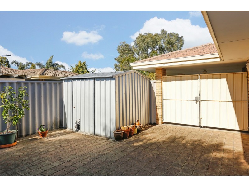 13 Salmon Gum Grove, Beechboro WA 6063