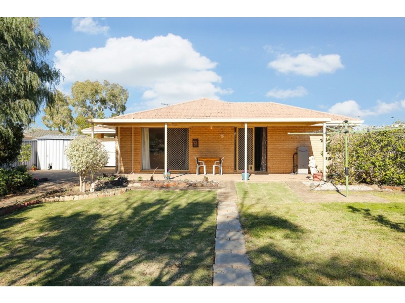 13 Salmon Gum Grove, Beechboro WA 6063