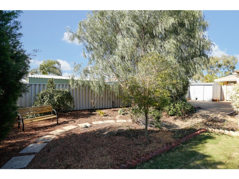 13 Salmon Gum Grove, Beechboro WA 6063