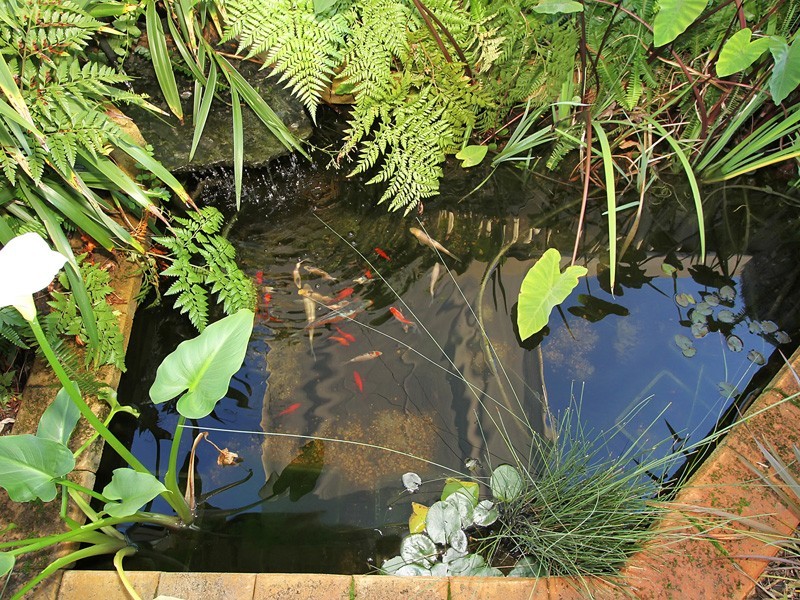 32 Sacramento Avenue, Beechboro WA 6063