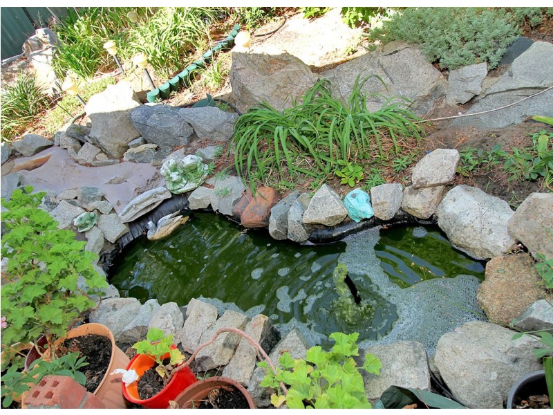 7 Gabo Road, Greenmount WA 6056