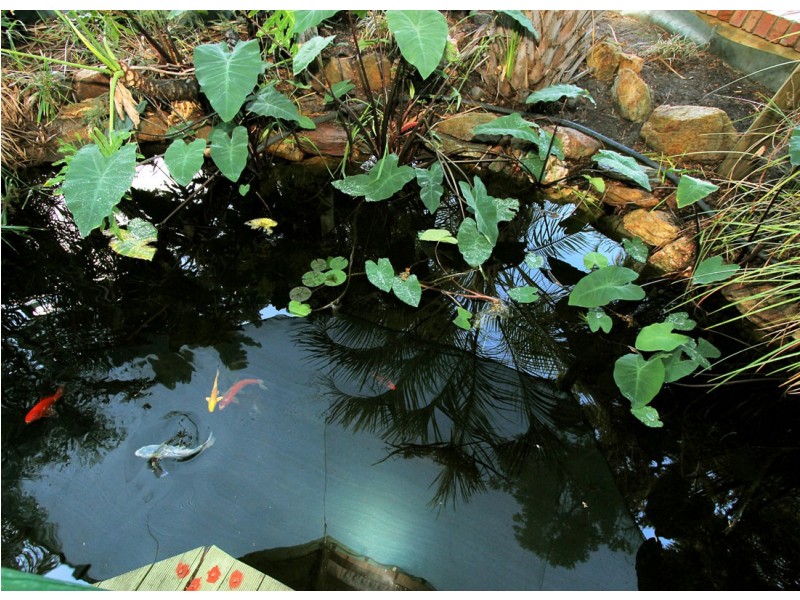 35 Coolibah Court, Ballajura WA 6066