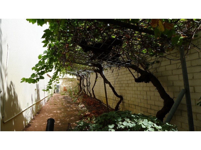 372 Alexander Drive, Dianella WA 6059