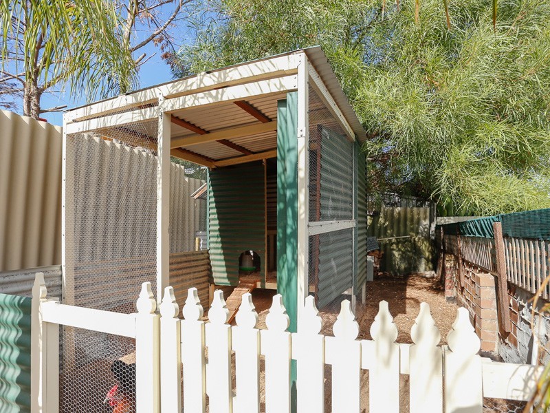 45 Mawson Crescent, Hillarys WA 6025