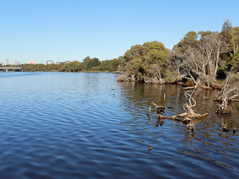 10/146 Joel Terrace, Mount Lawley WA 6050