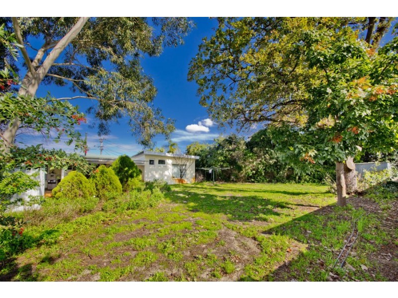 13 Dallwin Street, Dianella WA 6059