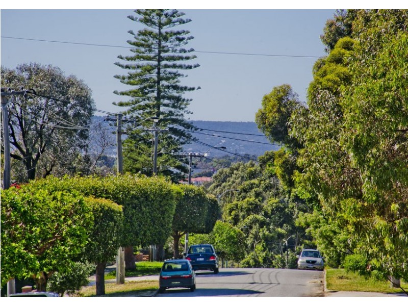 42 Hamilton Street, Bayswater WA 6053