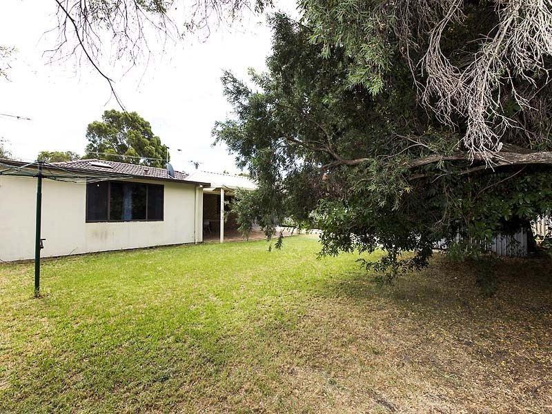 19 Chevalier Way, Thornlie WA 6108