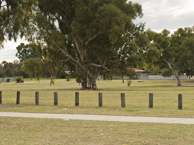 249 Corfield Street, Gosnells WA 6110