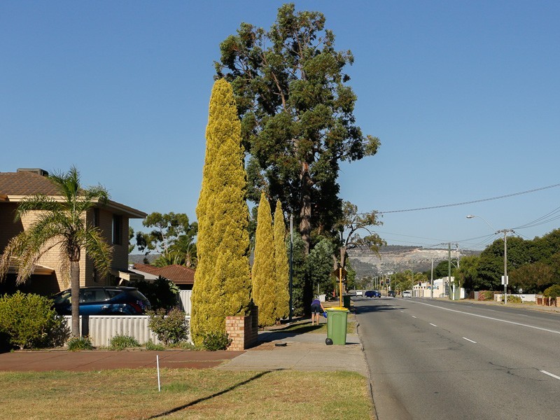 163A Fremantle Road, Gosnells WA 6110