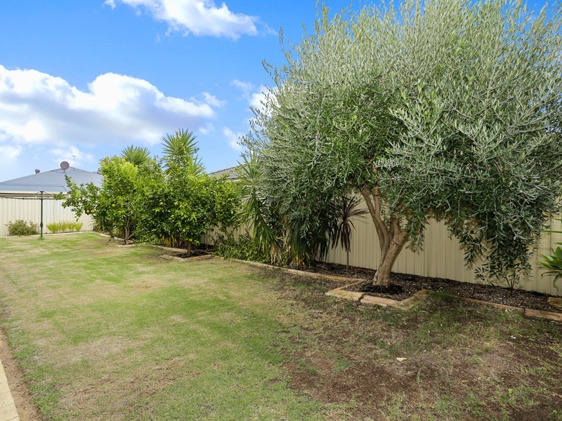 3 Delta Street, Wattle Grove WA 6107