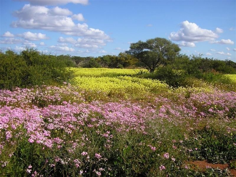 10 Seakist Retreat, Kalbarri WA 6536