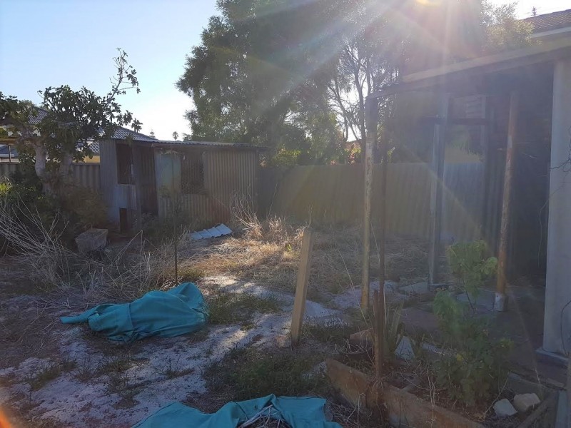 53 Valentine Ave, Dianella WA 6059