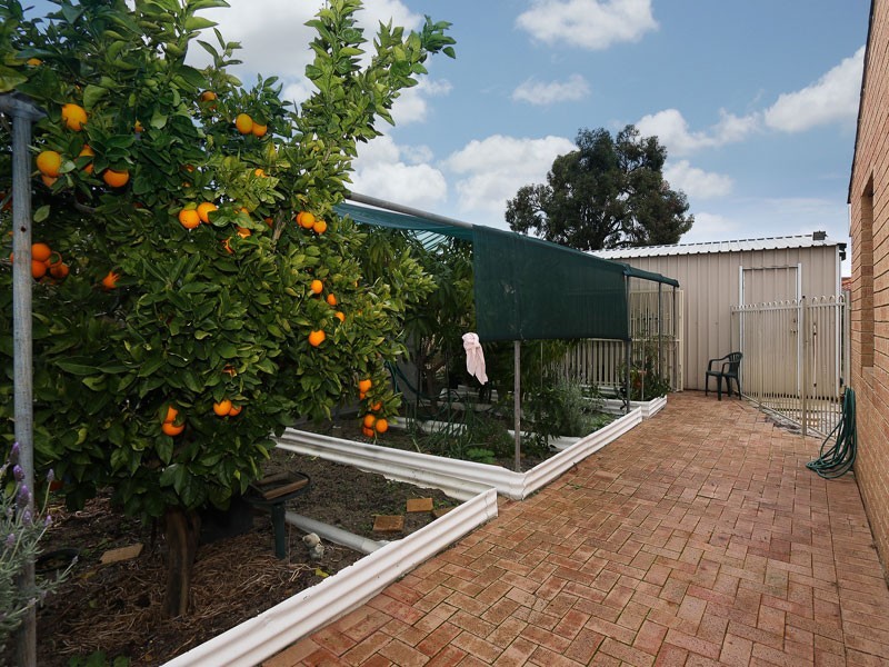 83 Greenway Avenue, Thornlie WA 6108