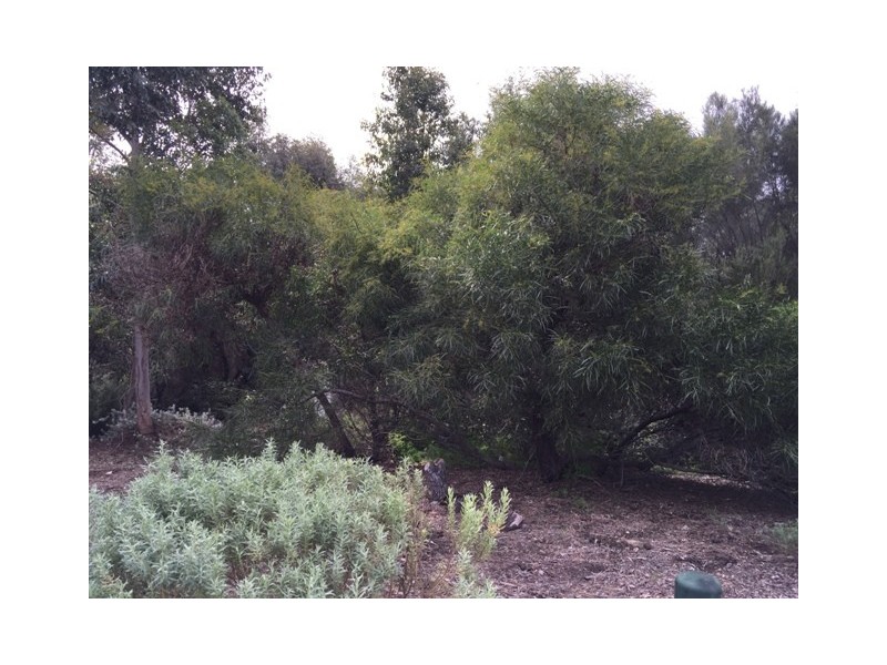 12 Kandimak Blvd, Byford WA 6122