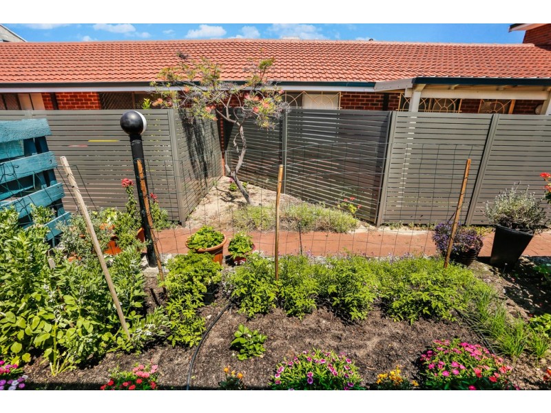 2/2 Field Street, Mount Lawley WA 6050