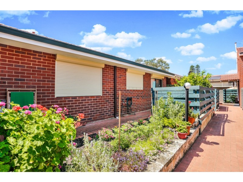 2/2 Field Street, Mount Lawley WA 6050