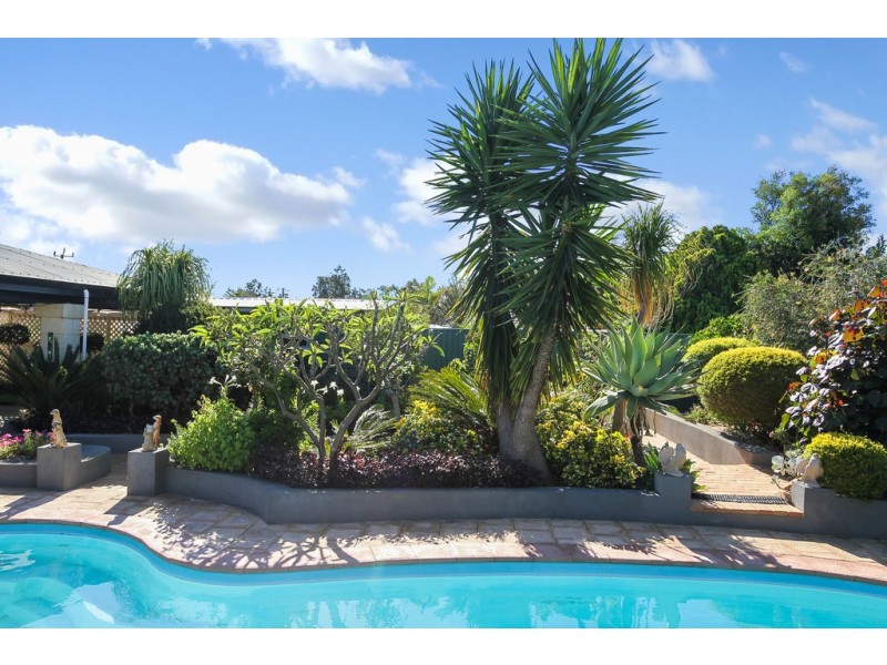 19 Shalford Street, Bayswater WA 6053