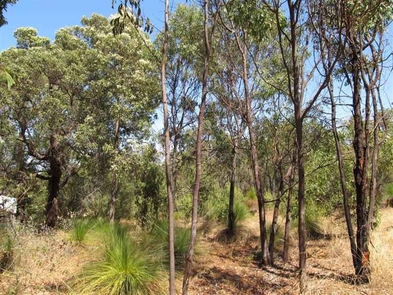 41 Padbury Road, Darlington WA 6070