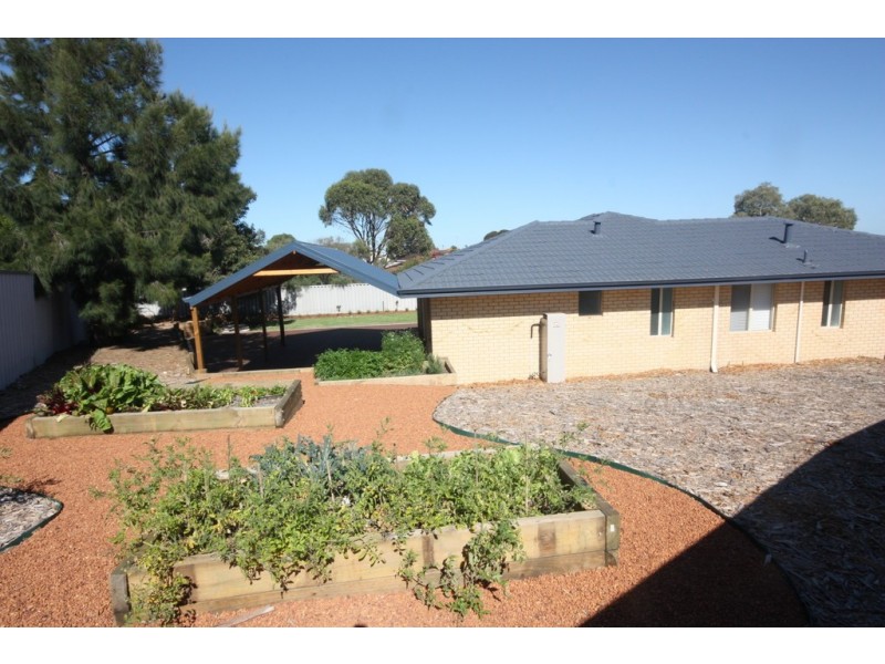 6 Cane Court, Beechboro WA 6063