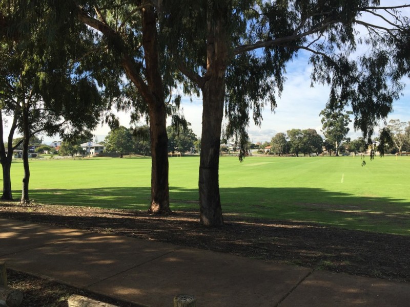 20/3 Rupert Street, Maylands WA 6051