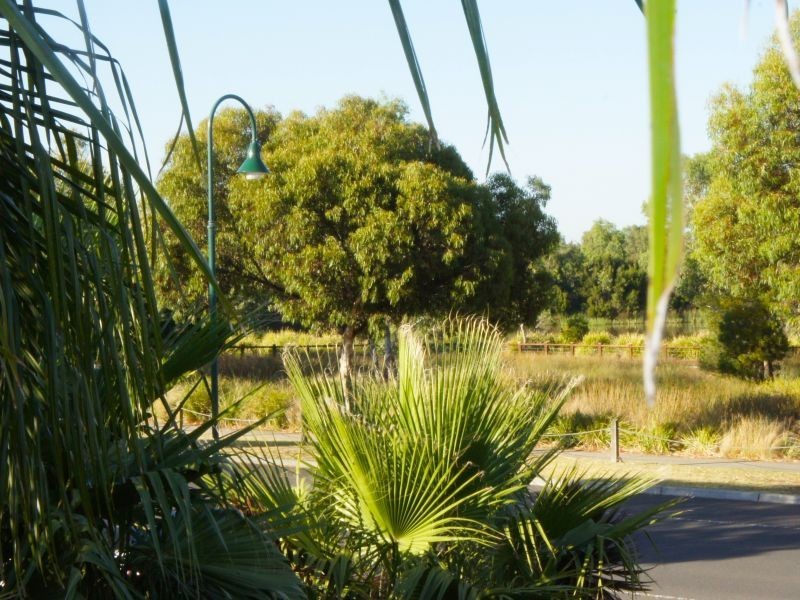 70 Paterson Drive, Lynbrook VIC 3975