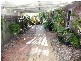 67 Ladbroke Crescent, Urangan QLD 4655
