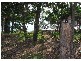 361 ORegan Creek Road, Toogoom QLD 4655