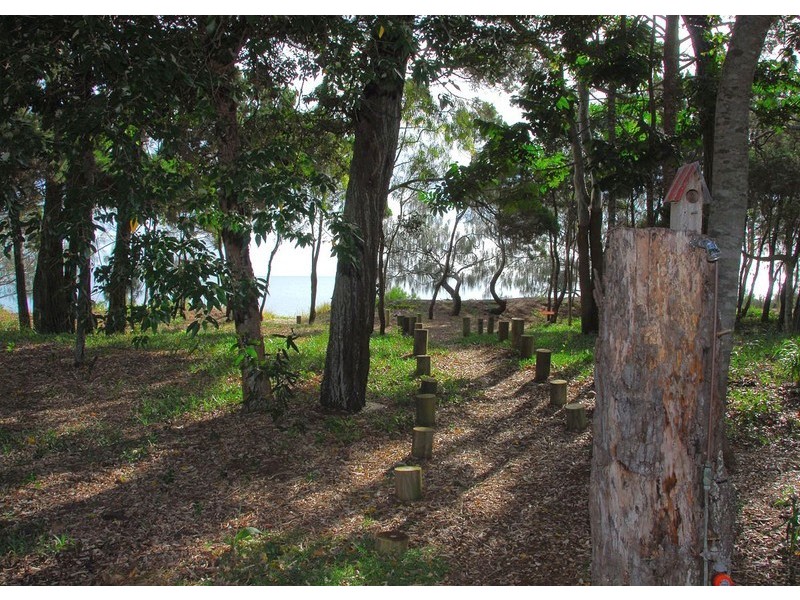 361 ORegan Creek Road, Toogoom QLD 4655