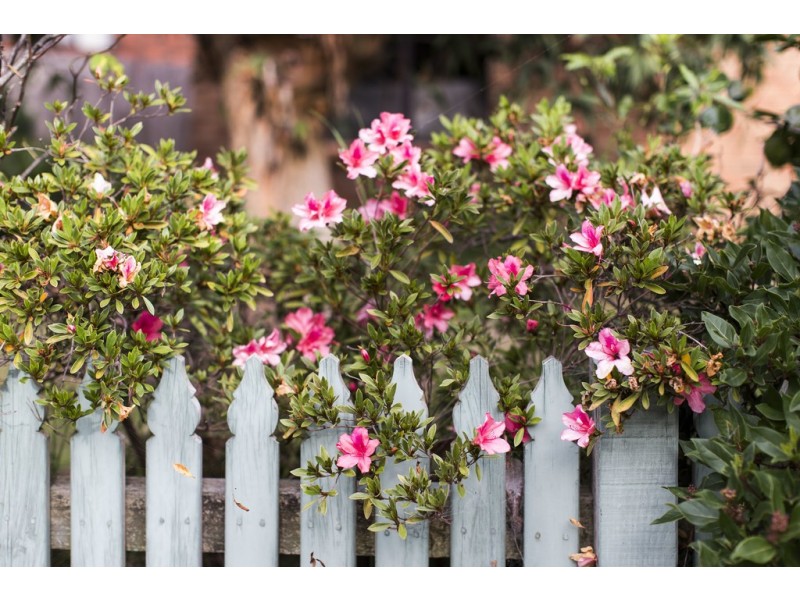 17 Vaughan Street, Cowes VIC 3922