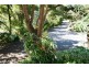 26 Lock Road, Rhyll VIC 3923