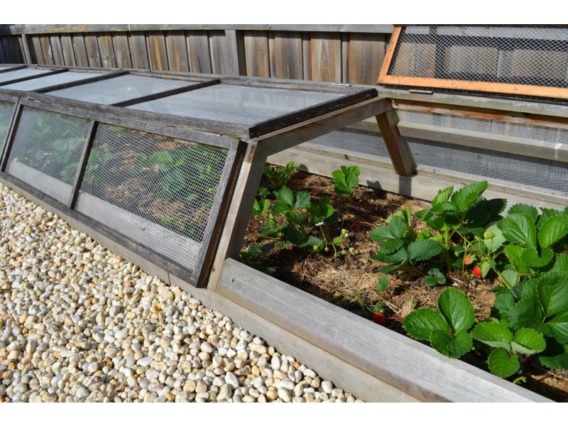 12 Boobook Grove, Cowes VIC 3922