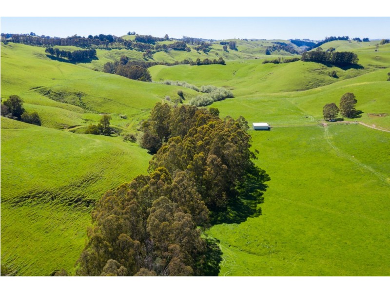 156 Fitzgeralds Road, Arawata VIC 3951