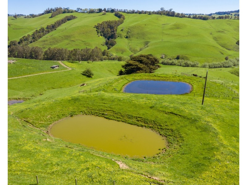 156 Fitzgeralds Road, Arawata VIC 3951